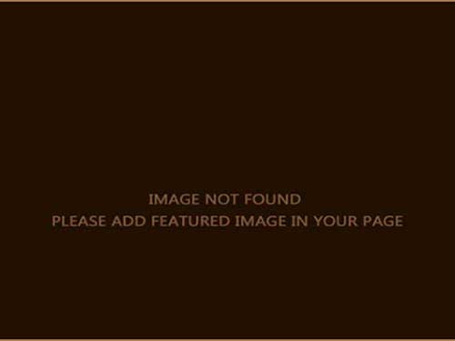 London event honours parents who are working to tackle knife crime